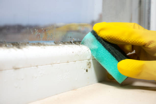 Best Attic Mold Removal  in Glasgow, OR