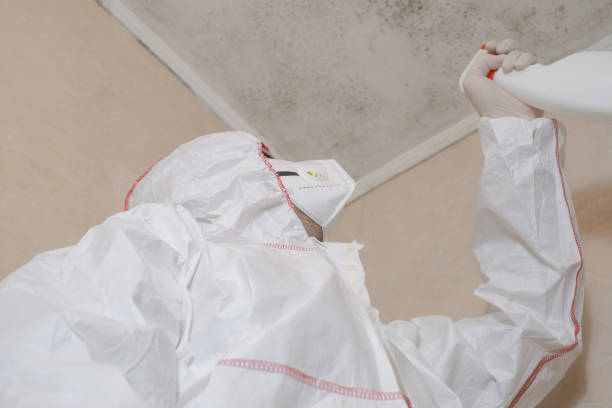 Mold Removal Process in Glasgow, OR