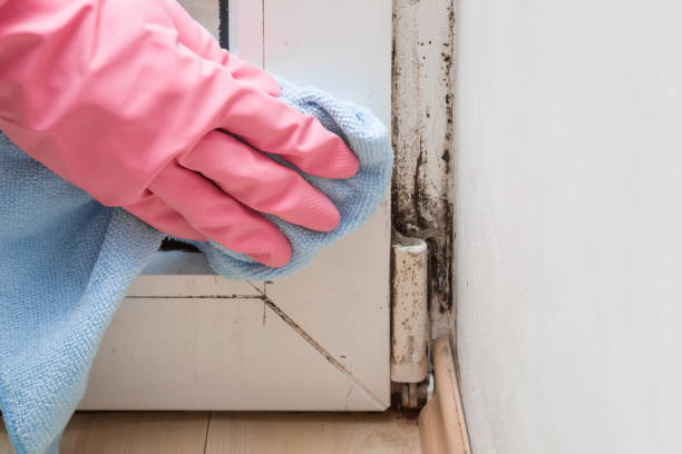 Best Mold Removal Process  in Glasgow, OR
